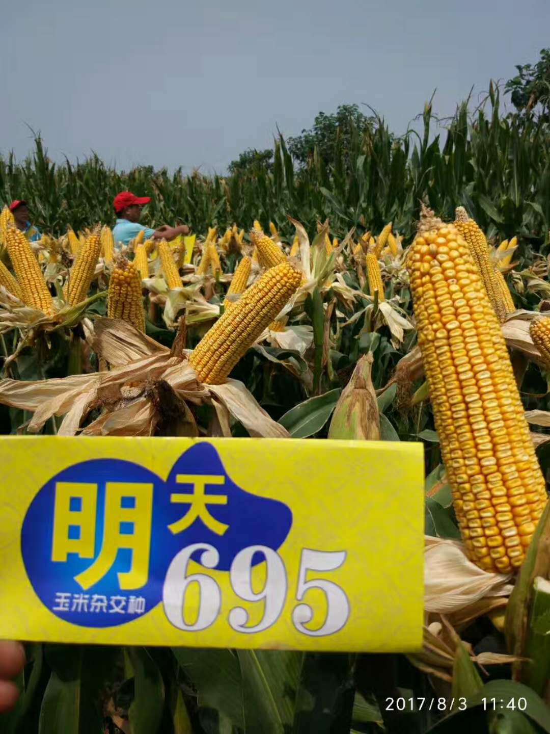 明天695摄影大奖赛评奖