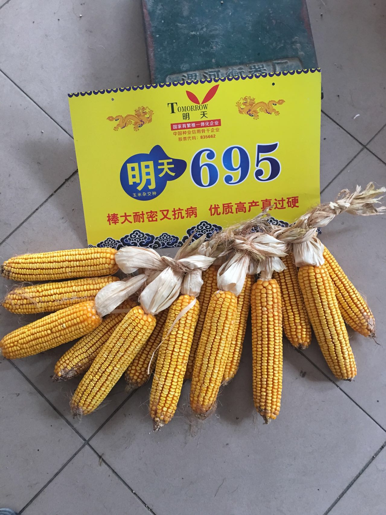 明天695摄影大奖赛评奖