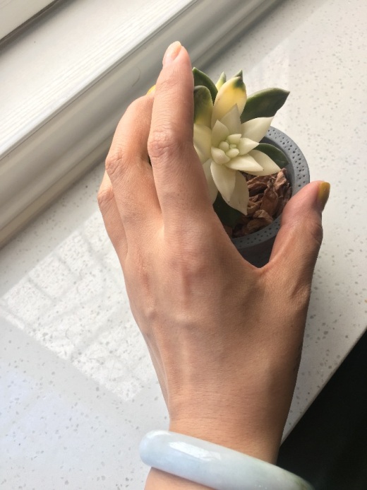 最美手模大赛——木原町