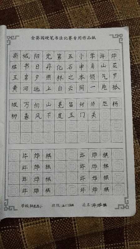 金葵园第二届汉字书写大赛