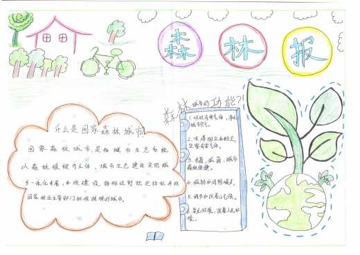 杜庄学区初级中学创建森林城市手抄报展示
