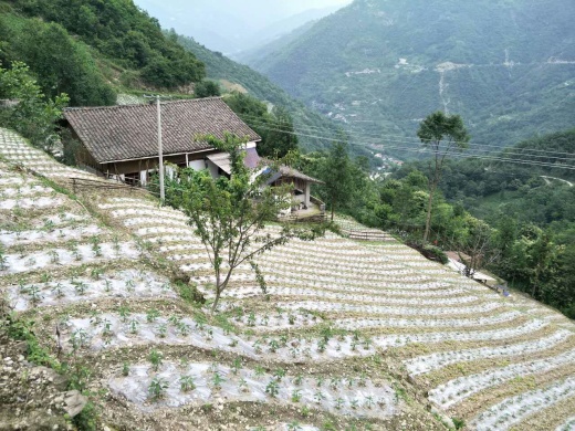 都坝乡-柳坪村 北川精神文明建设先进村 贯岭乡-水埝村 北川活力