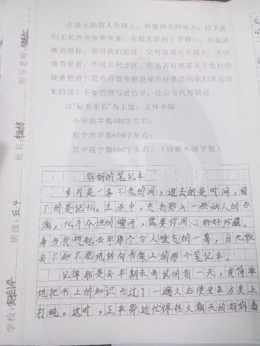 点金杯作文大赛(小学组)