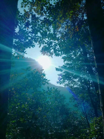 晨光里的秘密，解密她梦中怀孕的温柔寓意