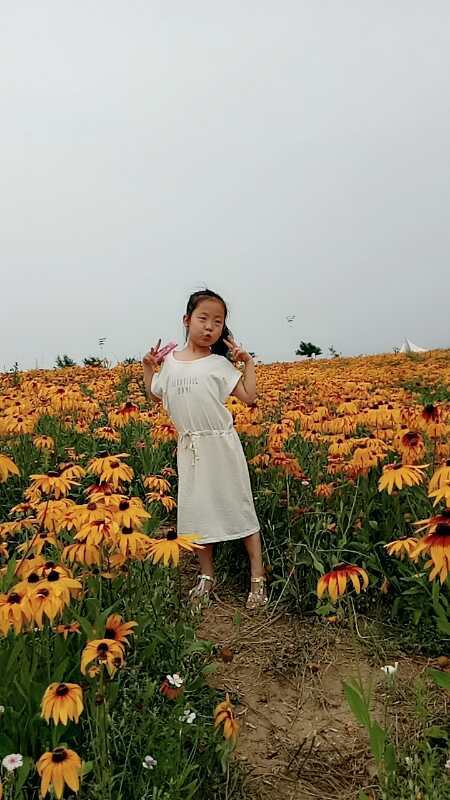 王希平 沈悦熙 李思媛 张茹娇 孙雨涵 郑甜甜 许晨曦 23号15票 张骥翔