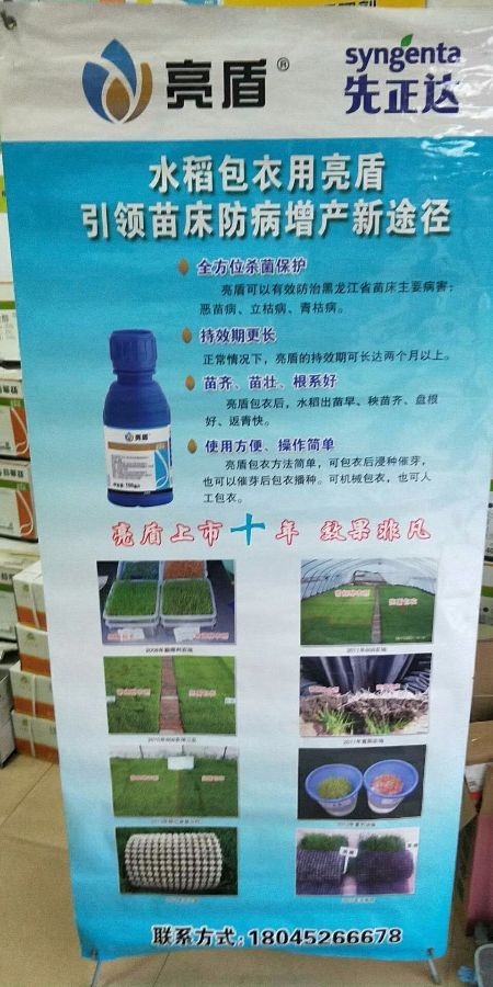 亮盾种衣剂苗齐苗壮盘根好